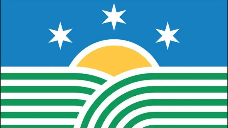 Commission releases 10 new potential Illinois state flag designs